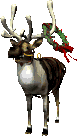 xmas-holiday-religious-reindeer-with-a-xmas-wreath-animation-B7Mz.gif