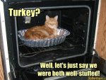 Well-stuffed Turkeys.jpg