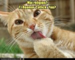 funny-pictures-cat-tells-you-his-religion.jpg