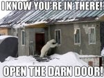 bear at door.jpg