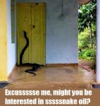 snake at door.jpg