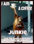 Coffee Junkie.jpg
