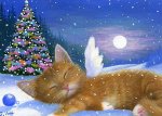 Christmas Angel Cat.jpg