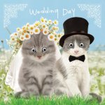 wedding-gogglies-cat-bride-groom-ba5286-3004561-0-1413268362000.jpg