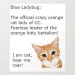 Official Orange Cat Lady.jpg