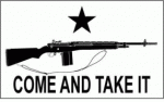 Come And Take It flag with M14 small.gif