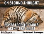 24-maybe-frosted-flakes-aren-t-that-great-funny-meme.jpg