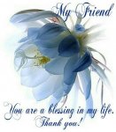 287647-My-Friend-You-Are-A-Blessing-In-My-Life.jpg