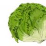lettucepray