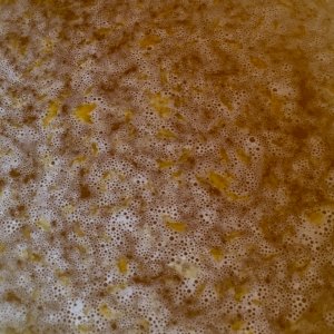 Brewing ginger beer