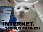 seriousbusness.jpg