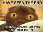 endtimescat.jpg