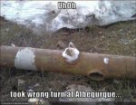 uhoh.jpg