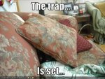 trap.jpg