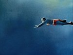 fly.jpg