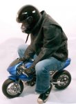 Motorcycle.jpg