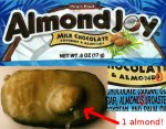 072808-003-almondsadness494.jpg