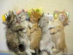 cuddling right.jpg