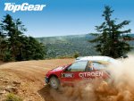 Loeb Rally.jpg