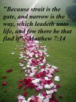 narrow is the way.jpg
