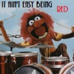 muppet_animal.jpg