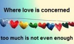 can't love too much.jpg