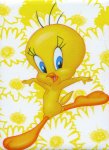 tweety_bird-5197.jpg