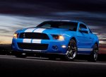 shelby.jpg