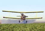 cropduster2.jpg