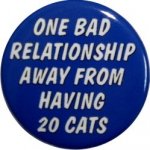 20 cats.jpg