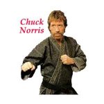 Chuck_Norris_3.jpg
