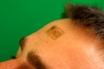RT_sci_aug12_Kim.jpg
