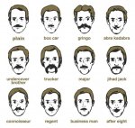whats-your-tache-types-mustache-chart-posters.jpg