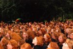 ginger convention.jpg