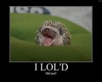 lold.jpg
