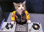 dj.jpg