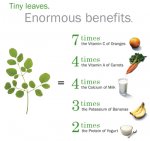 Moringa-diagram.jpg