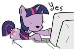 mlfw373_yes.jpg