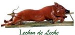 leche5kg.jpg leche5kg.jpg