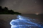 electric blue neon water-maldives.jpg