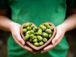 acorns_hands_heart_hd_wallpaper-t2.jpg