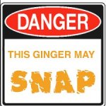 gingersnap.jpg gingersnap.jpg