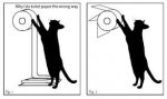 toilet paper cat.jpg