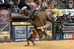 13_6_bushwacker_Lasvega_nv.jpg