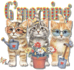 animal-graphics-cats-862235.gif