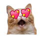 Cat Heart Eyes.png Cat Heart Eyes.png