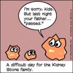 cc7d49362eebb260b21c13f988e8ff30--kidney-stone-humor-kidney-stones.jpg