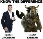 know-the-difference-hugh-jackman-huge-yakman-PcKnX.jpeg