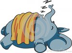 sleeping-baby-elephant-taking-nap-51608265.jpg
