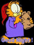 Garfield & Pooky.jpg
